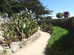 131 Ile de Batz Jardin Georges Delaselle_000006